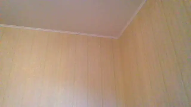 Snapshot of _Black-Panther_ chatting on 11, 6, 2026 Black-Panther online show from 11, 6, 2026