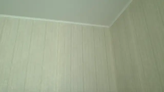Snapshot of _Black-Panther_ chatting on 19, 7, 2026 Black-Panther online show from 19, 7, 2026