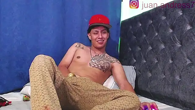 Stone grey1  online show from 20, 2, 2026