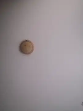 yourflowerpink online show from 29, 11, 2025