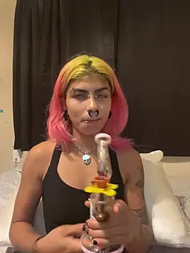 Harley cams online show from 10, 9, 2025