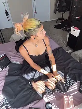 Harley cams online show from 31, 10, 2025