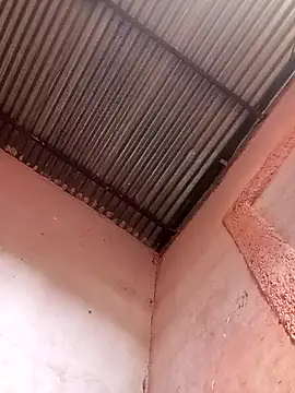 Snapshot of 317894 chatting on 21, 11, 2025 317894 online show from 21, 11, 2025