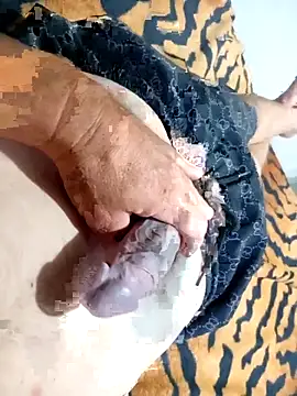 Dglo0000 online show from 30, 11, 2025