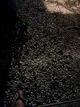 Dglo0000 online show from 10, 1, 2026