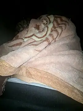 Snapshot of amirzinou chatting on 26, 10, 2025 amirzinou online show from 26, 10, 2025