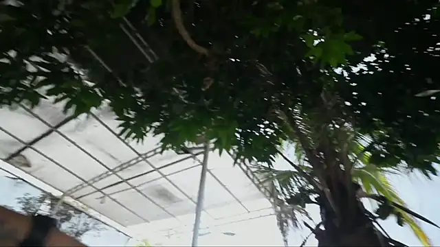 GGmansion01 online show from 17, 9, 2025