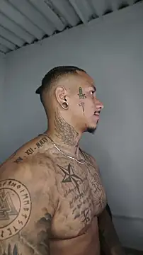 David tatto1 online show from 17, 5, 2026