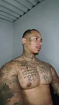 Snapshot of David_tatto1 chatting on 21, 6, 2026 David tatto1 online show from 21, 6, 2026