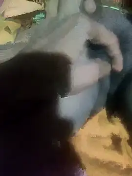 sshrichandra online show from 13, 11, 2025