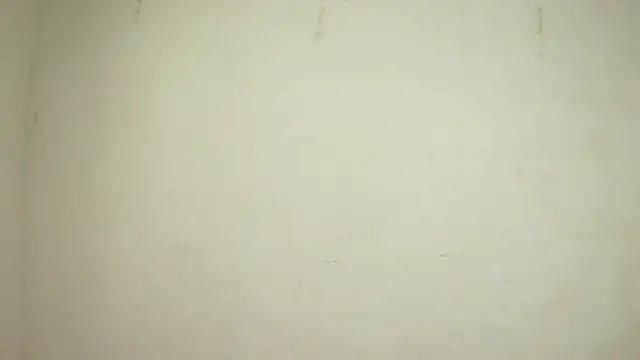 Snapshot of SelenaKayle chatting on 24, 10, 2025 SelenaKayle online show from 24, 10, 2025