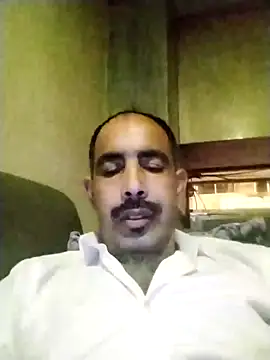 salimbasha online show from 10, 11, 2025