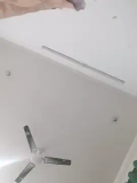 Snapshot of Anupama-87 chatting on 1, 11, 2025 Anupama-87 online show from 1, 11, 2025