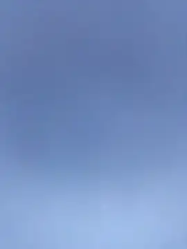 Veww1313 online show from 4, 12, 2025