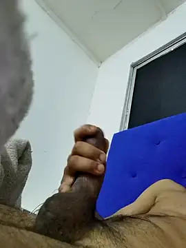 jhoi95 online show from 8, 11, 2025