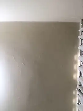 MusaAyla online show from 8, 2, 2026