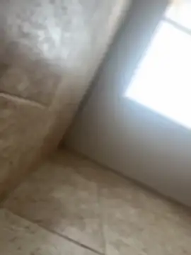 Noa Todokoro online show from 12, 10, 2025