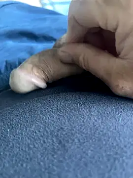 BobKat online show from 5, 10, 2025