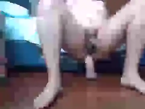 Snapshot of Culazodeantonellarocuzzo chatting on 15, 9, 2025 Culazodeantonellarocuzzo online show from 15, 9, 2025