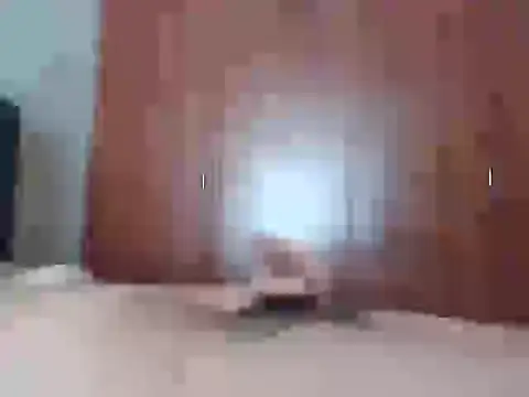 Snapshot of Culazodeantonellarocuzzo chatting on 25, 2, 2026 Culazodeantonellarocuzzo online show from 25, 2, 2026