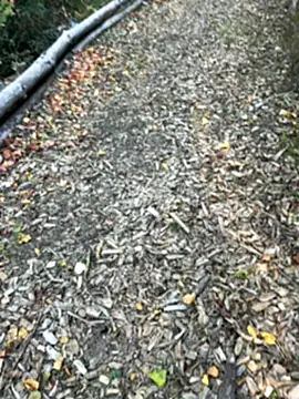 Mlkrrp online show from 10, 10, 2025