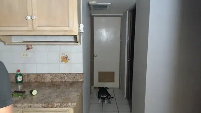 BlondZilla online show from 17, 11, 2025