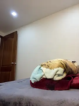 MaxDell online show from 20, 3, 2026