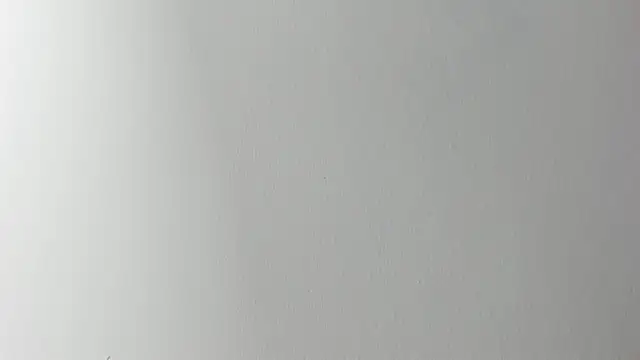 Lady miss    online show from 6, 11, 2025