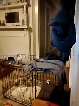 Snapshot of hugenicecock7979 chatting on 2, 10, 2025 hugenicecock7979 online show from 2, 10, 2025