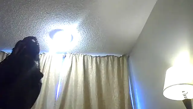 Flossee online show from 13, 2, 2026