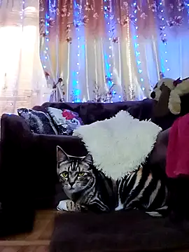 Snapshot of SquirtMilf00 chatting on 18, 2, 2025 SquirtMilf00 online show from 18, 2, 2025