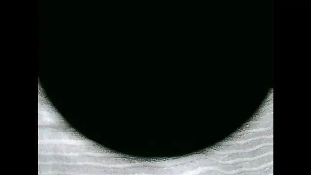 santinini2 online show from 13, 1, 2026