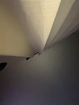 curis4270panda online show from 15, 9, 2025