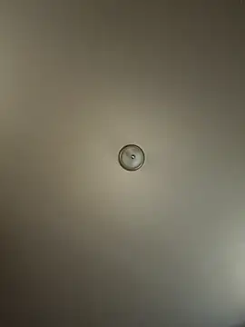 curis4270panda online show from 20, 10, 2025