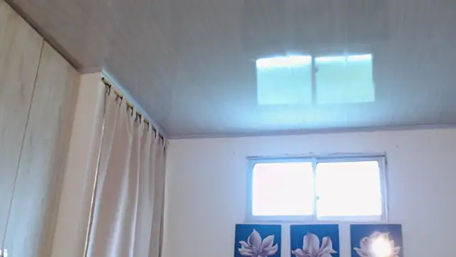 pinky f00x online show from 2, 12, 2025