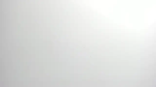 ximena vasquez8 online show from 9, 2, 2026