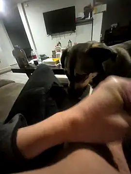 Justme 8519 online show from 29, 3, 2026