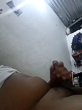 negro08  online show from 29, 4, 2026