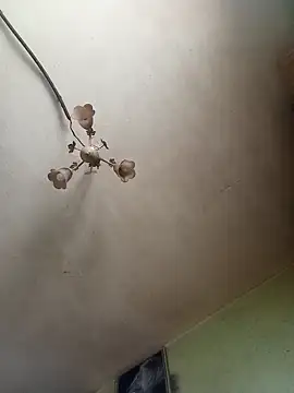 ToughDraft14 online show from 27, 4, 2026