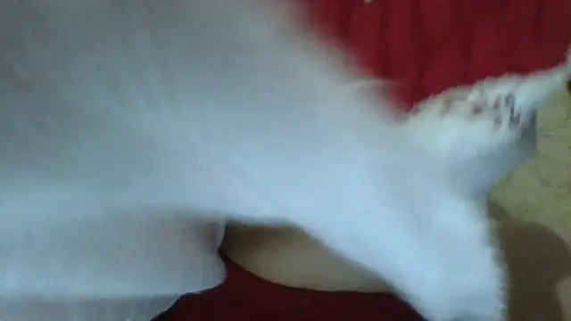 Snapshot of sweetriki chatting on 29, 7, 2026 sweetriki online show from 29, 7, 2026