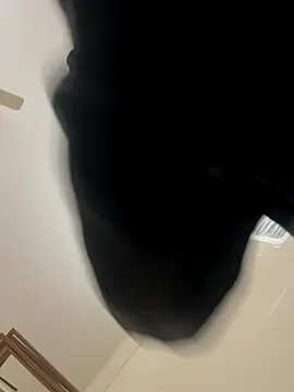 zack6x online show from 2, 12, 2025