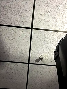 MR MUSCLE online show from 19, 9, 2025