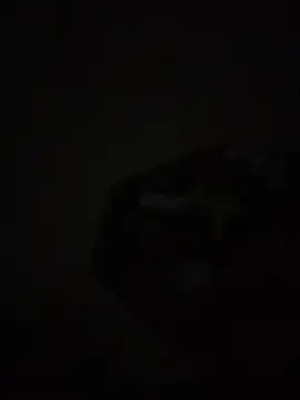 mario231197 online show from 9, 2, 2026