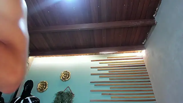 jharol cardonaa online show from 26, 11, 2025