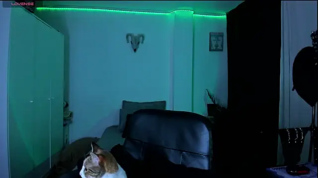 kattusauruss online show from 22, 3, 2026