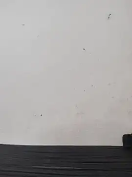 Telugu person12 online show from 28, 2, 2026