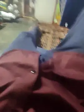 Telugu person12 online show from 16, 3, 2026