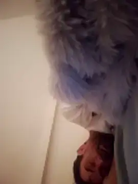 straightozgoesdwn online show from 31, 3, 2026