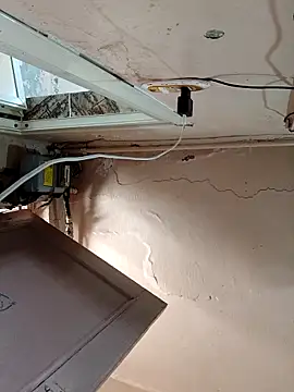 Absdefhig online show from 23, 4, 2026