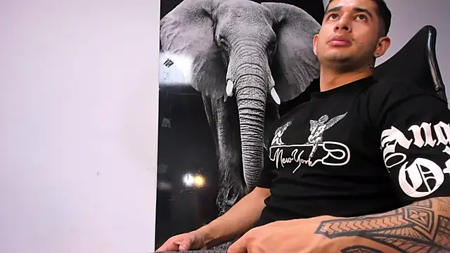 king falconer online show from 19, 10, 2025